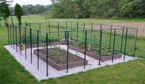 Deer Proof Garden Fencing Styles Bob Just To Thank You For The Quick Service And To Say The Fenc Deer Resistant Garden Garden Fencing Small Backyard Gardens