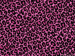 Leopard Print Pink Wallpapers On Wallpaperdog See more ideas about pink cow, cow, pink. leopard print pink wallpapers on
