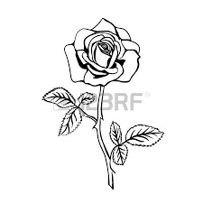 Con punto de acuerdo por el que se exhorta al titular de la segob, para que difunda el avance de la base de datos de la que hace referencia el reglamento de la ley general para prevenir, sancionar y erradicar los delitos en materia de trata de personas y para la protección y asistencia a las víctimas de estos delitos, a cargo de la diputada. Resultado De Imagen Para Bocetos Rosa Muerta Rose Sketch Rose Tattoo Tattoos