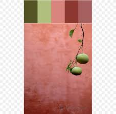 Maybe you would like to learn more about one of these? Coral Color Green Peach Turquoise Png 569x800px Coral Aqua Autumn Leaf Color Color Color Scheme Download