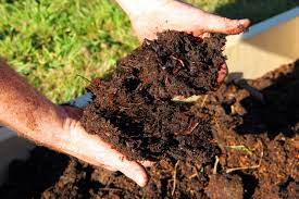 This gives time for the breakdown of pathogens. Amending Soil With Compost Learn How To Mix Soil And Compost
