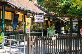 Der englische garten gehört weltweit zu den größten innerstädtischen parks und ist sogar größer als der central park in new york: Englischer Garten Alle Attraktionen Biergarten Des Munchen Highlights Passenger On Earth