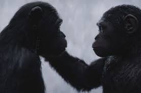 Um klarheit zu bekommen, begibt er sich zusammen mit seinen engsten vertrauten. Planet Der Affen Survival Im Kinopolis Giessen