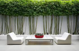 Pin On Garden