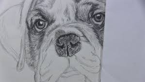 Using simple techniques with pencil. How To Draw A Dog Face With Realistic Features Let S Draw Today