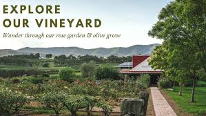 Follow reviews of wines from hanging tree wines as they happen. Hanging Tree Wines Pokolbin New South Wales Facebook