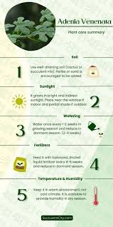 Image result for Adenia