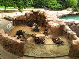 Pin By Ethan Wiersma On How To Start A Zoo | Zoo Architecture, Reptile Zoo,  Zoo Park