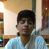 PDF) DICCIONARIO DE LA NO FORMA Vasquez Estrada Virgen Orozco