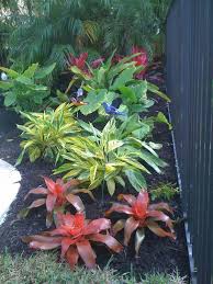 Check spelling or type a new query. 75 Beautiful Small Tropical Landscaping Pictures Ideas August 2021 Houzz