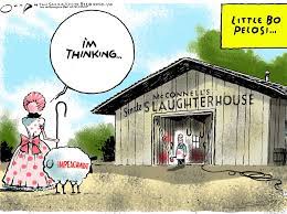 Jack Ohman On Political Cartooning And The Impeachment / UOP  President-Designate Christopher Callahan - capradio.org