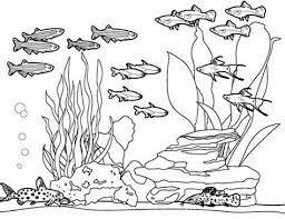 Free printable aquarium coloring pages for kids. Aquarium Life Coloring Pages Learny Kids
