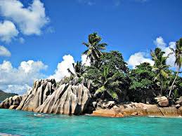 Coco palms on tropical paradise beach with turquoise blue water and blue sky wall mural when most people think of palm trees, they think of massive, vertical trees lining a california avenue. Seychelles Indian Ocean Vacations Rock Beautiful Beach Palm Trees Pikist