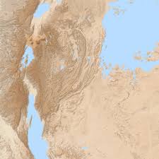 Image result for Asterochaete