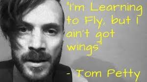 Learning to Fly Acoustic Cover