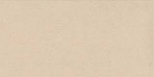 Image result for Stone Beige 1994 Reliant