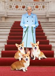 Elle est donc en quatrième position pour la longévité de son règne, juste. La Reine D Angleterre Elizabeth Ii Et Les Corgis