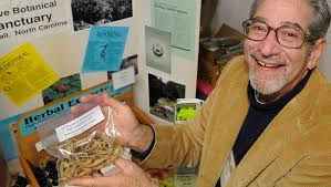 Forest farming key to saving wild ginseng from extinction