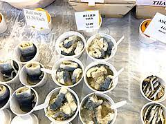 じゃない (janai) & ではない (dewa nai). ãƒ­ãƒ³ãƒ‰ãƒ³è¦³å…‰ãƒ–ãƒ­ã‚° ãƒ–ãƒ©ã‚¤ãƒˆãƒ³ã®ä¼'æ—¥ æµ·è¾ºã§é£Ÿã™ ã†ãªãŽã‚¼ãƒªãƒ¼