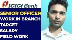 SENIOR OFFICER JOB ROLE IN ICICI BANK| TARGET