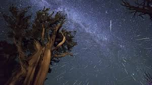 Wedding season is an event in new horizons. Wallpaper 4k Meteors Perseids Bristlecone Meteor Shower 4k Bristlecone Meteors Perseids