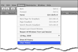 All your history, cookies, the works? How To Clean Up The Traces Of Online Activity In Safari Web Browser
