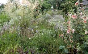 Paradiesgarten M Ein Sehnsuchtsort Sonja Schwingesbauer