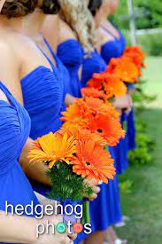 Jj's house offers tons of affordable wedding flowers and wedding bouquets in a variety of materials, such as silk wedding flowers and satin ones. 19 Royal Blue Orange Wedding Ideas Orange Wedding Blue Orange Weddings Wedding