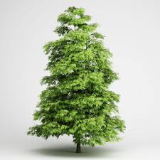 3d Tree Heaven 02 Model 3d Model Tree 3d Tree Model Tree