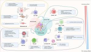 Frontiers | Recent advances in understanding the immune microenvironment in  ovarian cancer