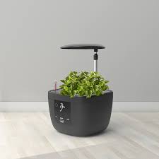 We did not find results for: China Factory Wholesale Plant Grow Lights Lowes Maisie Bud Igrowpot Radiant Manufacturers And Suppliers Radiant