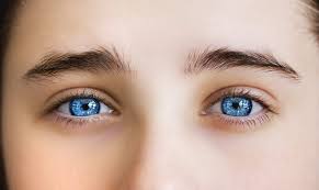Informatiile despre ochi caprui cuprinse in aceste comunicate sunt transmise de catre reprezentantii companiilor a caror activitate este legata de subiectul ochi caprui, prin urmare responsabilitatea continutului acestora revine companiilor respective. Descoperire NeasteptatÄƒ Despre Oamenii Cu Ochi Albastri AceÈ™tia Sunt Mai Speciali Dintr Un Singur Motiv Impact