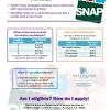 Anyone approved to receive cash assistance or snap (food stamps) benefits will be issued an illinois link card. 3
