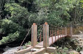 Best hikes and trails in Bạch Mã National Park | AllTrails