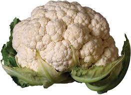 We did not find results for: Cauliflower Plant Britannica
