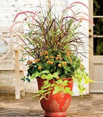 Herbstbepflanzung Kubel Brunnengras Kugelamarant Herbstbepflanzung Bepflanzung Zimmerblumen