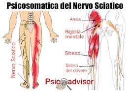 Questo dolore può estendersi alla parte posteriore, esterna o anteriore della gamba. Psicosomatica Della Sciatalgia Quando Le Emozioni Infiammano Il Nervo Sciatico Psicoadvisor