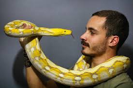 Reel by 🇧🇷 Biólogo Victor Basílio (@victorcbasilio_) · October 4, 2025