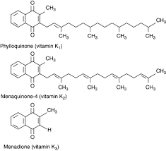 Тидного лиганда и других групп атомов). Vitamin K And Thrombosis Sciencedirect