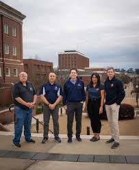 Image result for Ochna hackarsii