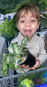 Not sure about her name? But she is my favorite baby girl. I am very poor  with plant names but yet I have so many.