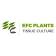 Egyptian French Company for Plant Tissue Culture S.A.E
