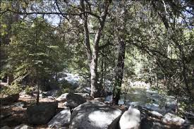 Featuring 82 sites at an elevation of 4,600 feet. Moraine Campground Kings Canyon National Park Cedar Grove Village California Womo Abenteuer