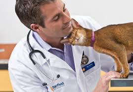 Preliminary exam, also known as the pet exam, which stands for preliminary english test, is designed for students with intermediate taking the free cambridge placement test can help you decide which of the cambridge exams is the right one for your current level of english. Free Pet Exam Consultation At Banfield Pet Hospital Inside Petsmart Stores