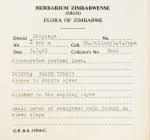 Image result for Hippocratea goetzei