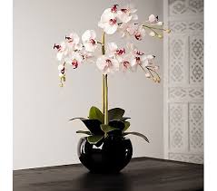 Largest selection of artificial fake orchids in many types and colors. Peony Phalaenopsis Orchid Faux Flowers In A Black Bowl Qvc Uk