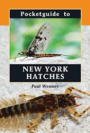 Pocketguide To New York Hatches