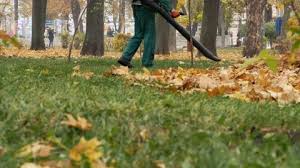 Check spelling or type a new query. Leaf Blower Blowing Leaves Stock Video Footage Royalty Free Leaf Blower Blowing Leaves Videos Pond5