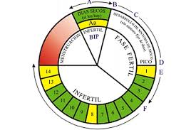 Usos Del Calendario De Ovulacion Maspsicologia Com
