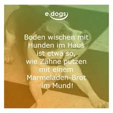 Lustige Hundespruche Hundezitate Hundeliebe Mensch Und Hund Finde Deinen Traumhund Jetzt Bei Edogs Hundespruche Hund Zitat Hund Funnies